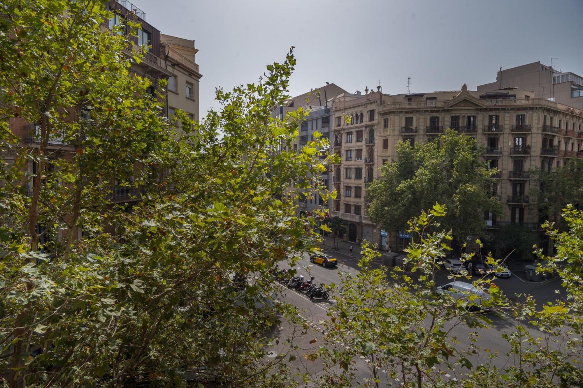 R&B Muntaner Apartment Barcelona Luaran gambar